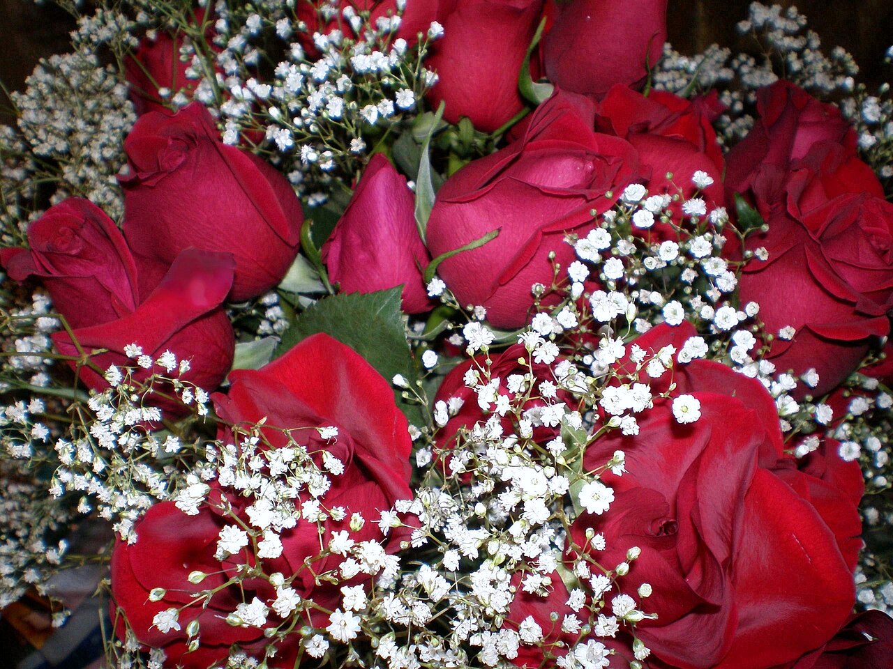 Rosebox Pink Velvet